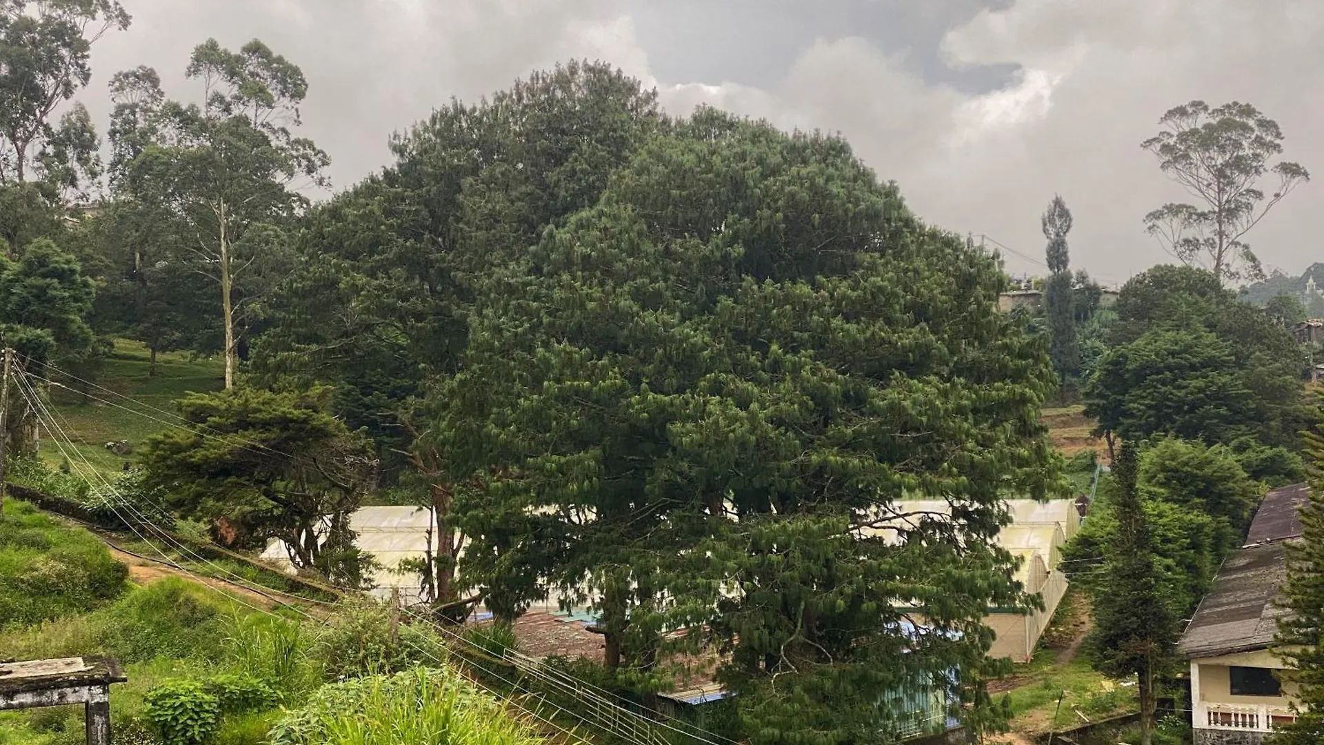 S And D Home Stay Nuwara Eliya Homestay