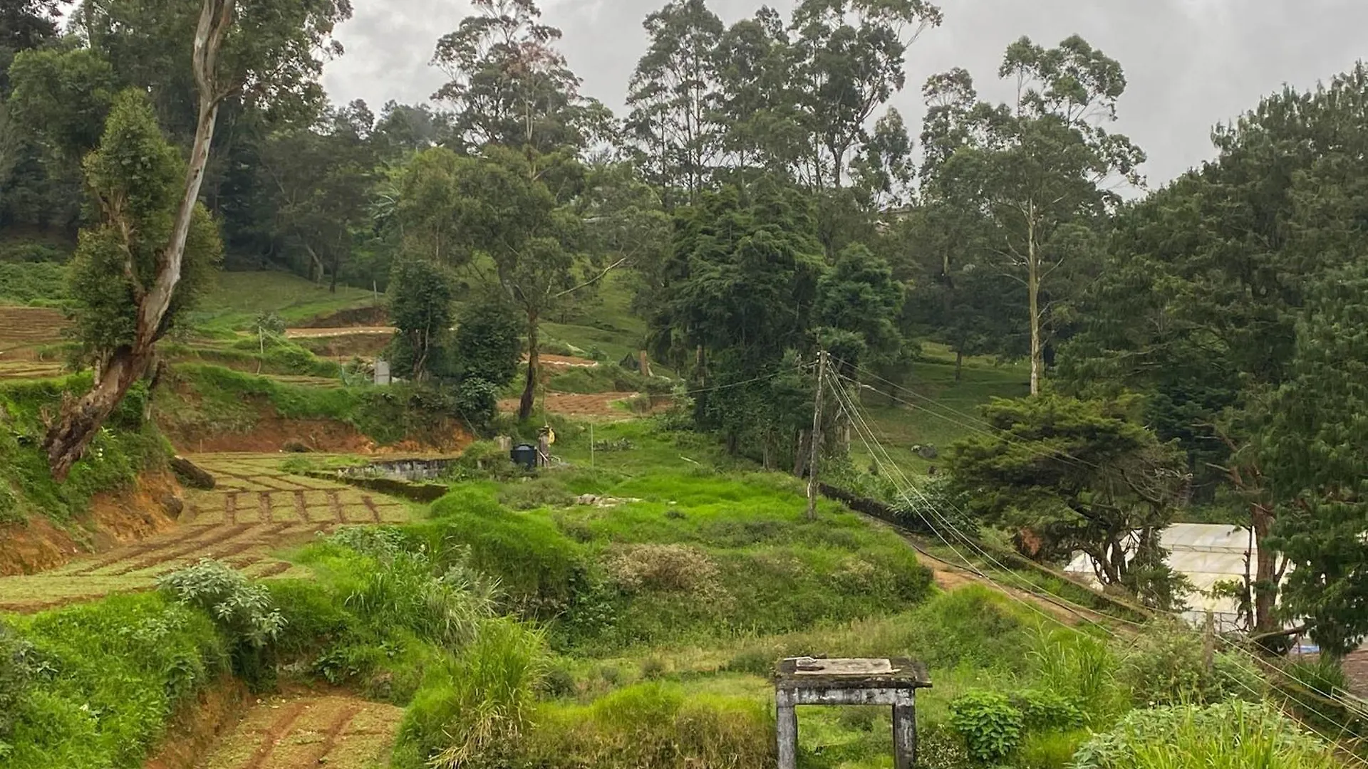 S And D Home Stay Nuwara Eliya Sri Lanka