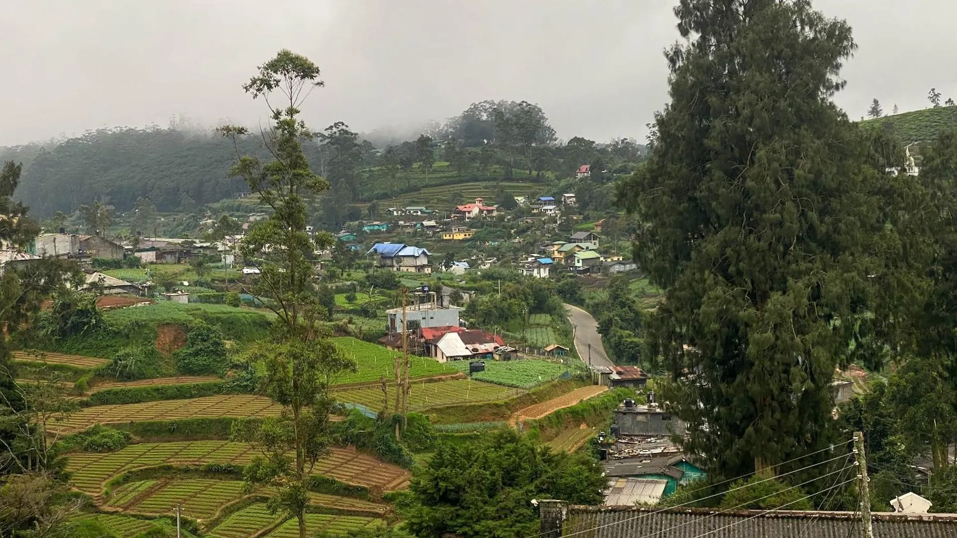S And D Home Stay Nuwara Eliya Sri Lanka